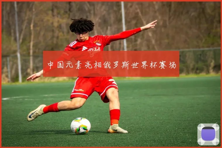中国元素亮相俄罗斯世界杯赛场