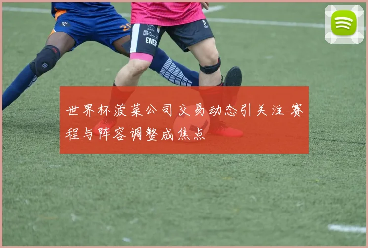 世界杯菠菜公司交易动态引关注 赛程与阵容调整成焦点