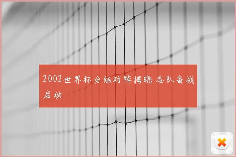 2002世界杯分组对阵揭晓 各队备战启动