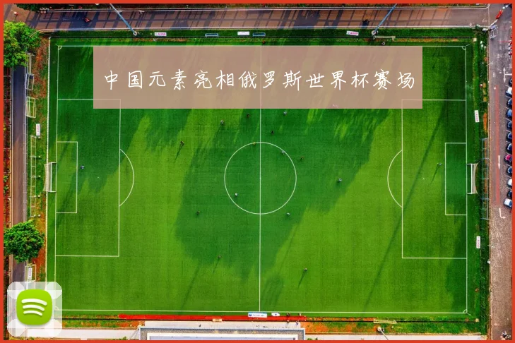 中国元素亮相俄罗斯世界杯赛场