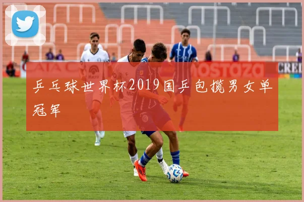 乒乓球世界杯2019国乒包揽男女单冠军