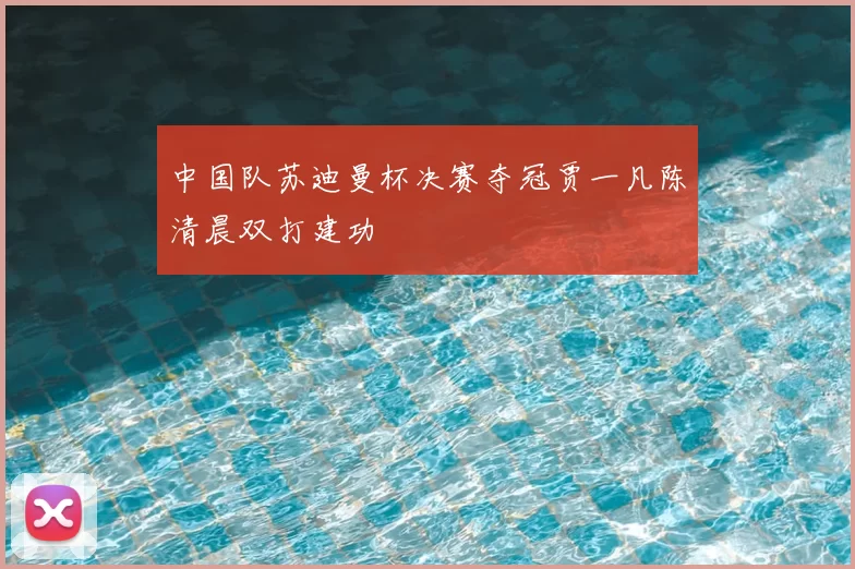 中国队苏迪曼杯决赛夺冠贾一凡陈清晨双打建功