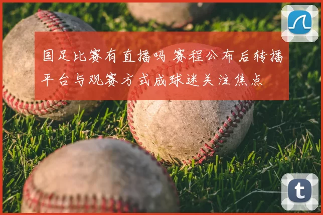 国足比赛有直播吗 赛程公布后转播平台与观赛方式成球迷关注焦点