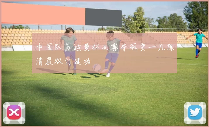 中国队苏迪曼杯决赛夺冠贾一凡陈清晨双打建功