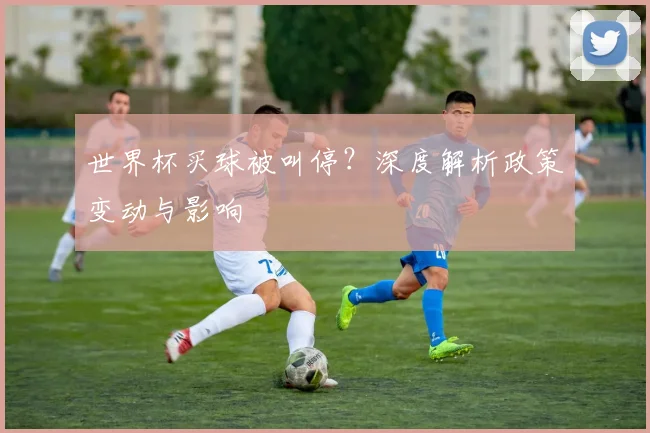 世界杯买球被叫停?深度解析政策变动与影响