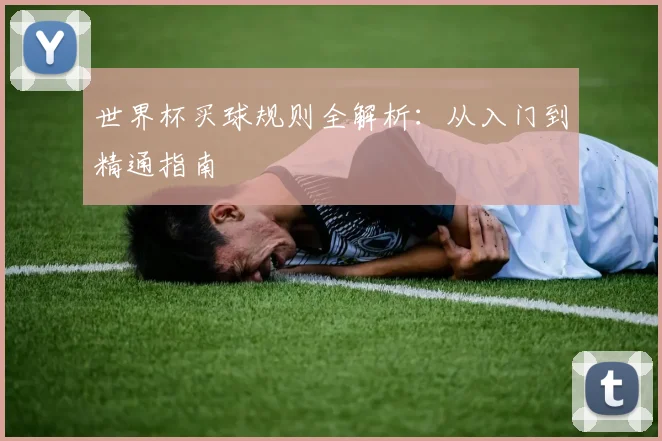 世界杯买球规则全解析:从入门到精通指南