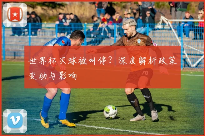 世界杯买球被叫停?深度解析政策变动与影响